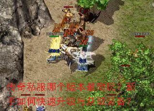 ����˽���ĸ��汾�����棿������ο����������ȡװ����