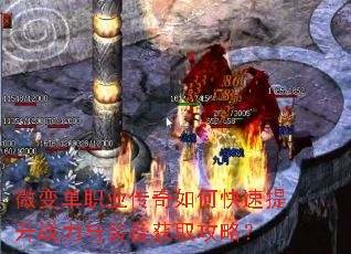 ΢�䵥ְҵ������ο�������ս����װ����ȡ���ԣ�