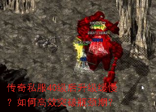 ����˽��40����������������θ�Чͻ��ƿ���ڣ�