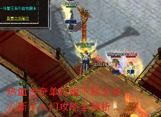 ��Ѫ���浥�������ش�ȫ���������Ź���ȫ����