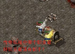 传奇私服中哪个职业最好玩且最适合新手? 传奇私服中哪个职业最好玩且最适合新手?