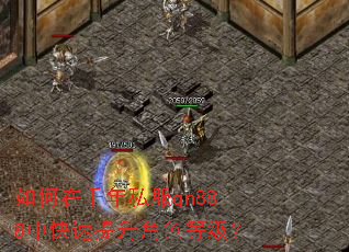 如何在千年私服qn888中快速提升角色等级? 如何在千年私服qn888中快速提升角色等级?