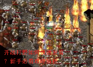 开战打野如何快速发育?新手必看攻略解析 开战打野如何快速发育?新手必看攻略解析
