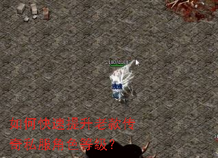 如何快速提升老款传奇私服角色等级? 如何快速提升老款传奇私服角色等级?