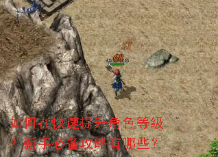 如何在快速提升角色等级?新手必备攻略有哪些? 如何在快速提升角色等级?新手必备攻略有哪些?