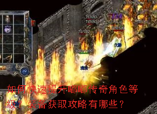 如何快速提升嘟嘟传奇角色等级?装备获取攻略有哪些? 如何快速提升嘟嘟传奇角色等级?装备获取攻略有哪些?