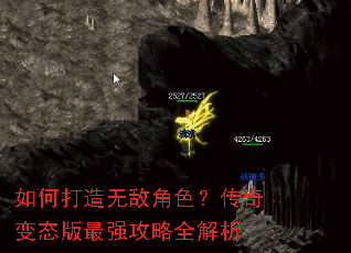 ��δ����޵н�ɫ�������̬����ǿ����ȫ����