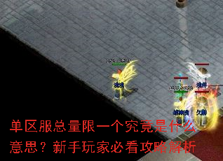 单区服总量限一个究竟是什么意思?新手玩家必看攻略解析 单区服总量限一个究竟是什么意思?新手玩家必看攻略解析