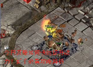 今日开服如何快速提升战力?新手必看攻略解析 今日开服如何快速提升战力?新手必看攻略解析