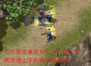 七杀游戏真的好玩吗?新手如何快速上手称霸传奇世界? 七杀游戏真的好玩吗?新手如何快速上手称霸传奇世界?