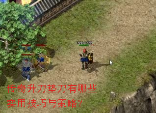 ���������浶����Щʵ�ü�������ԣ�