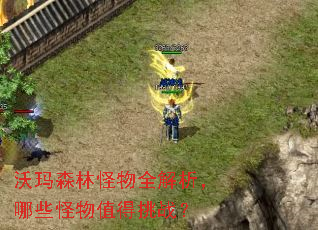 沃玛森林怪物全解析,哪些怪物值得挑战? 沃玛森林怪物全解析,哪些怪物值得挑战?