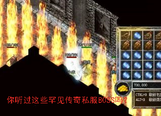 你听过这些罕见传奇私服BOSS吗? 你听过这些罕见传奇私服BOSS吗?