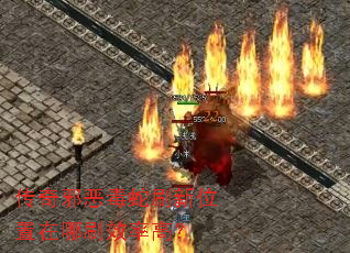 传奇邪恶毒蛇刷新位置在哪刷效率高? 传奇邪恶毒蛇刷新位置在哪刷效率高?