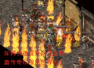 如何快速提升永恒版热血传奇私服角色等级? 如何快速提升永恒版热血传奇私服角色等级?
