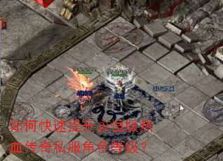 如何快速提升永恒版热血传奇私服角色等级? 如何快速提升永恒版热血传奇私服角色等级?