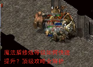 魔法盾修炼等级如何快速提升?顶级攻略全解析 魔法盾修炼等级如何快速提升?顶级攻略全解析