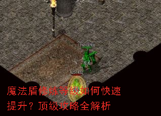 魔法盾修炼等级如何快速提升?顶级攻略全解析 魔法盾修炼等级如何快速提升?顶级攻略全解析