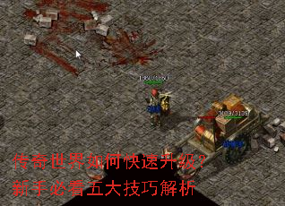 传奇世界如何快速升级?新手必看五大技巧解析 传奇世界如何快速升级?新手必看五大技巧解析