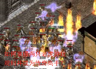 如何掌握两只老虎游戏规则并成为传奇高手? 如何掌握两只老虎游戏规则并成为传奇高手?