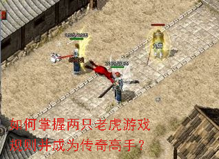 如何掌握两只老虎游戏规则并成为传奇高手? 如何掌握两只老虎游戏规则并成为传奇高手?