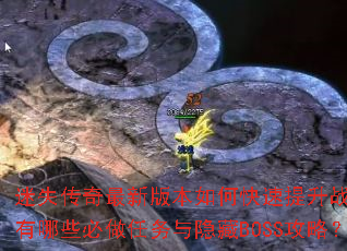 ��ʧ�������°汾��ο�������ս��������Щ��������������BOSS���ԣ�