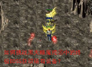 �����ս���찵ħ��I�е��ռ�BOSS��ȡϡ��װ����
